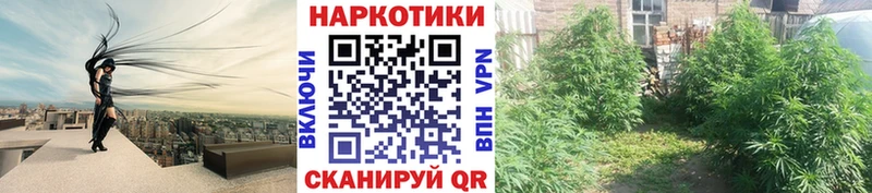 Наркотические вещества Зуевка Cocaine A-PVP ГАШИШ