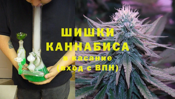 spice Арсеньев