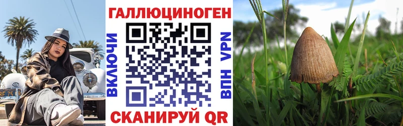 Галлюциногенные грибы Magic Shrooms Зуевка